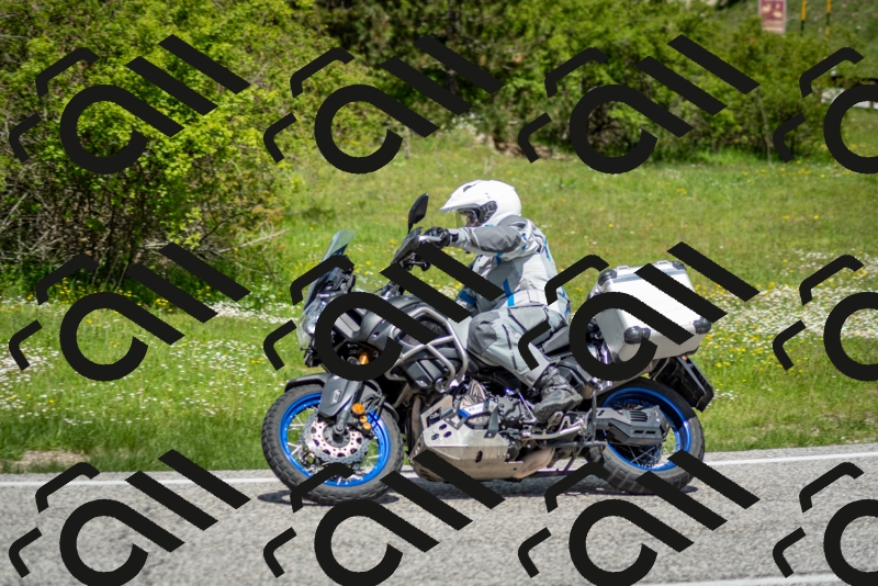 202505181218-DSC_9681_c2