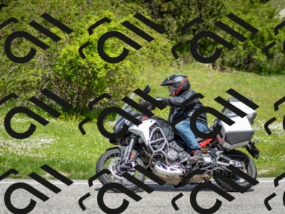 202505181218-DSC_9683_c2