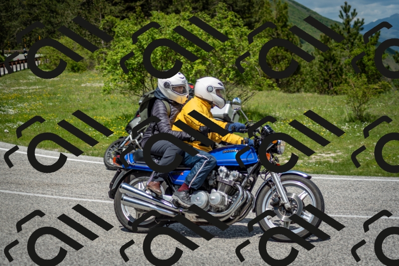 202505181218-DSC_9684_c2