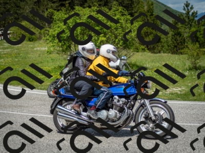 202505181218-DSC_9684_c2