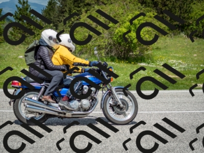 202505181218-DSC_9685_c2