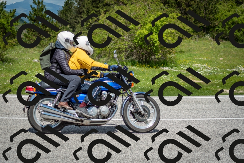 202505181218-DSC_9685_c2