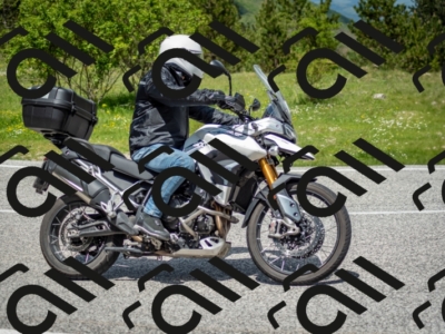 202505181218-DSC_9690_c2