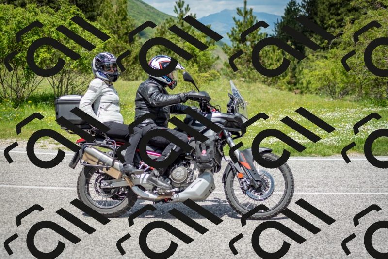 202505181218-DSC_9695_c2