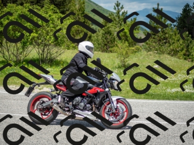 202505181218-DSC_9697_c2