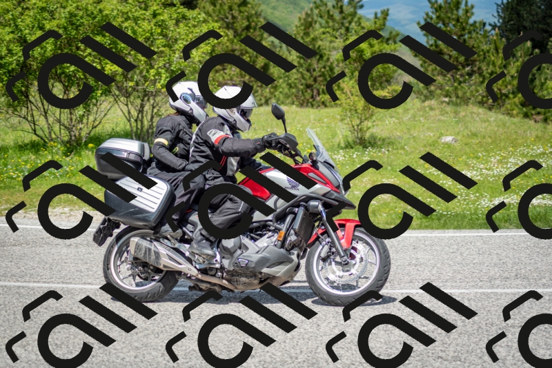 202505181218-DSC_9699_c2