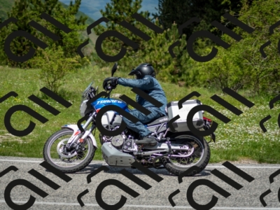 202505181219-DSC_9712_c2