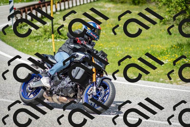 202505181220-DSC_9736_c2