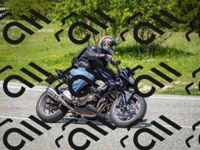 202505181220-DSC_9737_c2