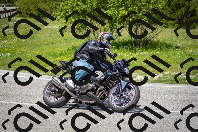 202505181220-DSC_9737_c2