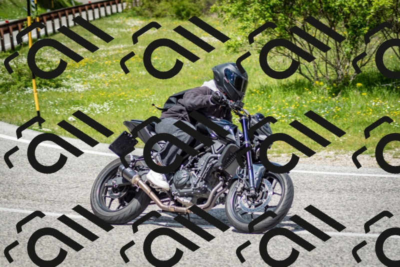 202505181220-DSC_9742_c2