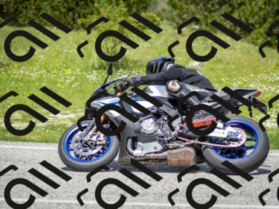 202505181220-DSC_9749_c2