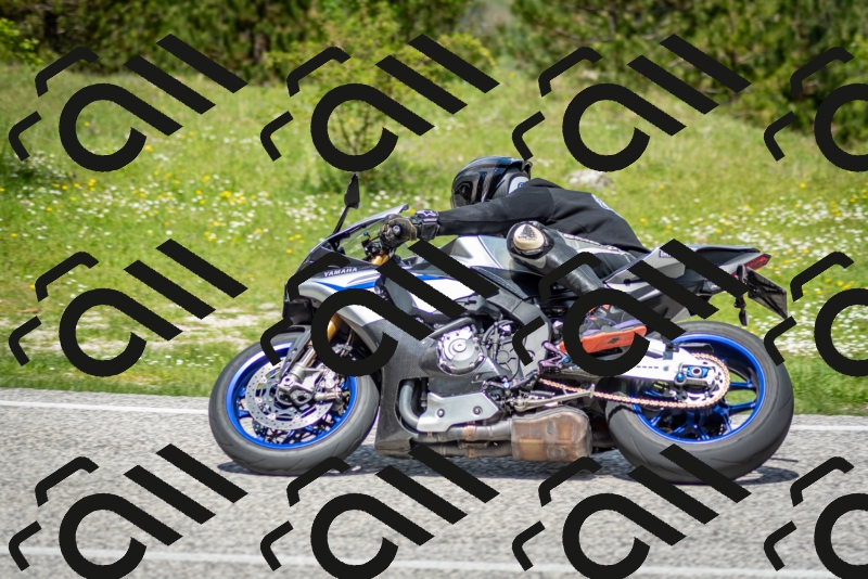 202505181220-DSC_9749_c2