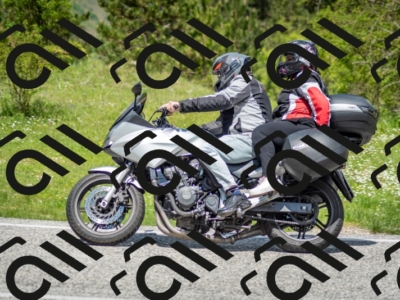 202505181220-DSC_9753_c2