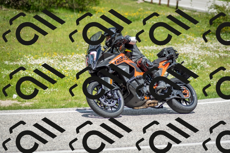 202505181220-DSC_9755_c2