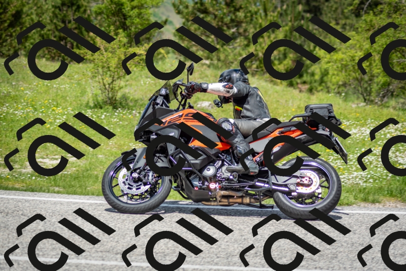 202505181220-DSC_9756_c2