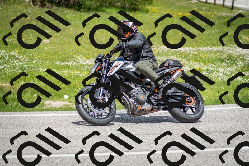 202505181221-DSC_9758_c2