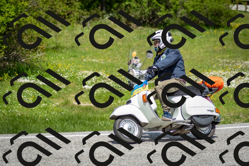 202505181221-DSC_9767_c2