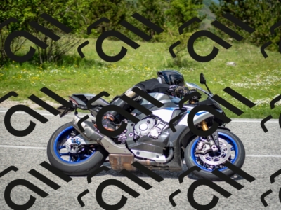 202505181221-DSC_9769_c2