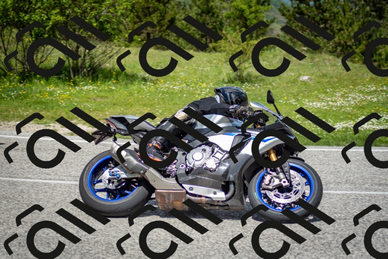 202505181221-DSC_9769_c2