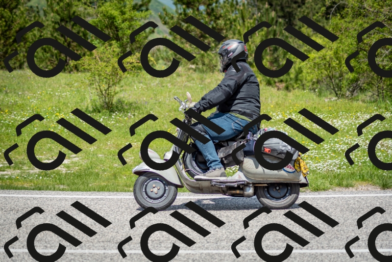 202505181221-DSC_9771_c2