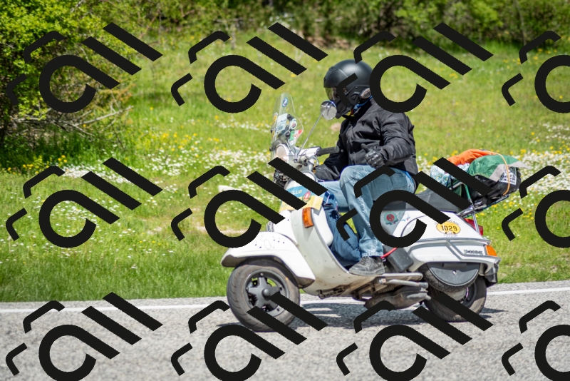 202505181221-DSC_9773_c2