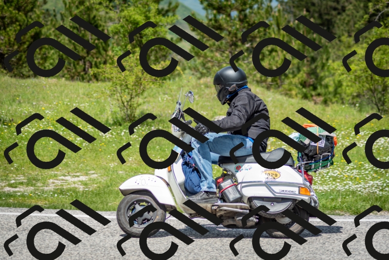 202505181221-DSC_9774_c2