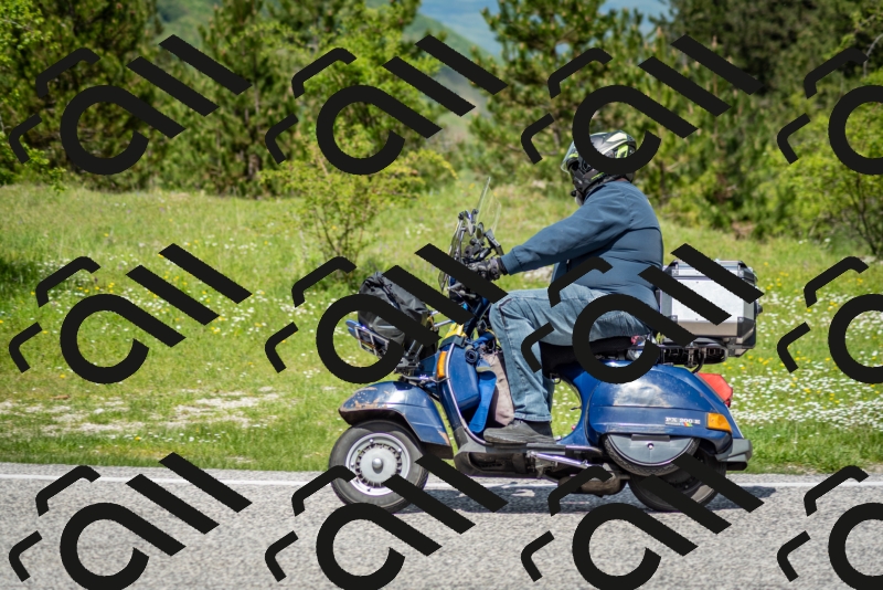 202505181221-DSC_9777_c2