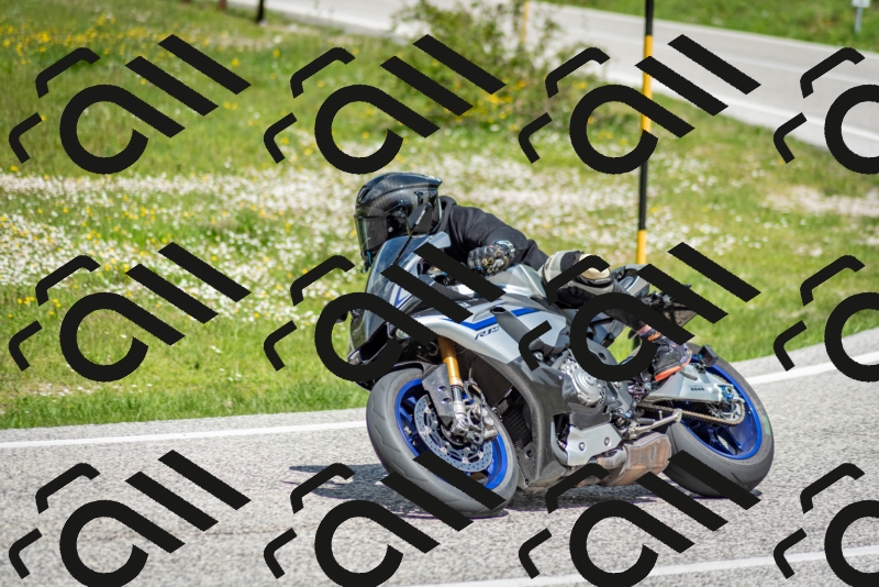 202505181222-DSC_9779_c2