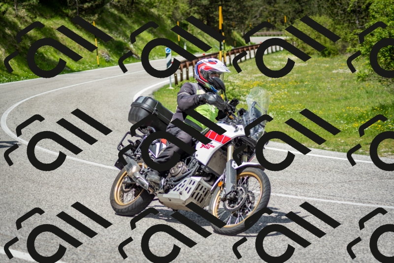 202505181222-DSC_9784_c2