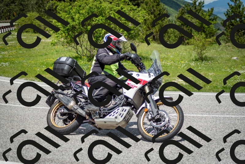 202505181222-DSC_9785_c2