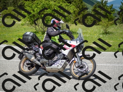 202505181222-DSC_9785_c2