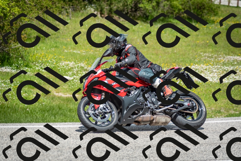 202505181222-DSC_9792_c2