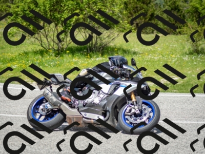 202505181222-DSC_9798_c2