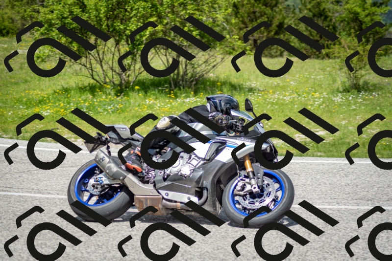 202505181222-DSC_9798_c2