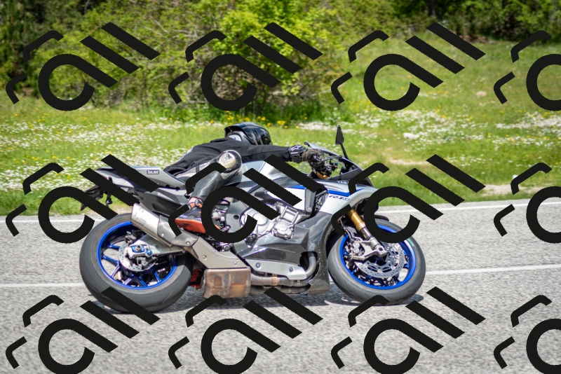 202505181222-DSC_9799_c2