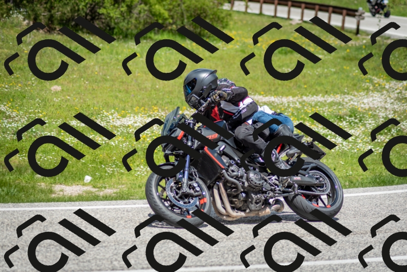 202505181222-DSC_9801_c2