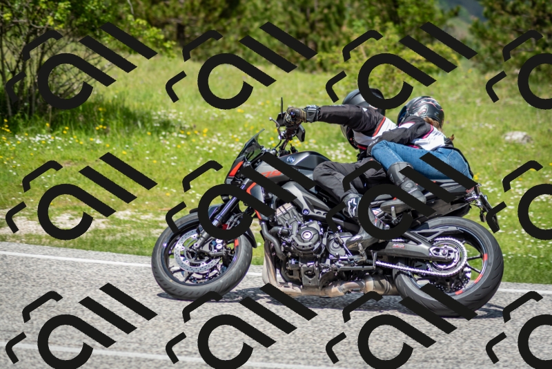 202505181222-DSC_9802_c2