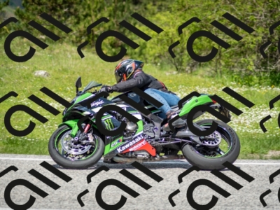 202505181222-DSC_9805_c2