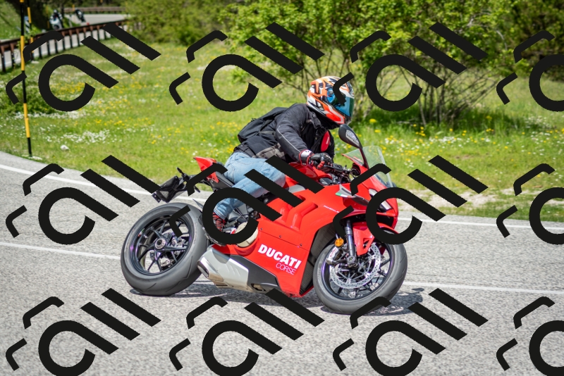 202505181222-DSC_9811_c2