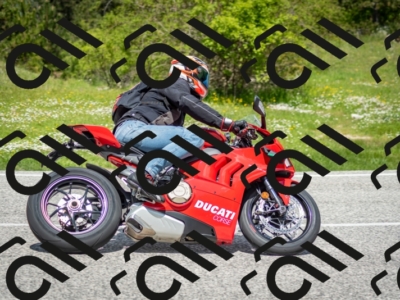 202505181222-DSC_9812_c2