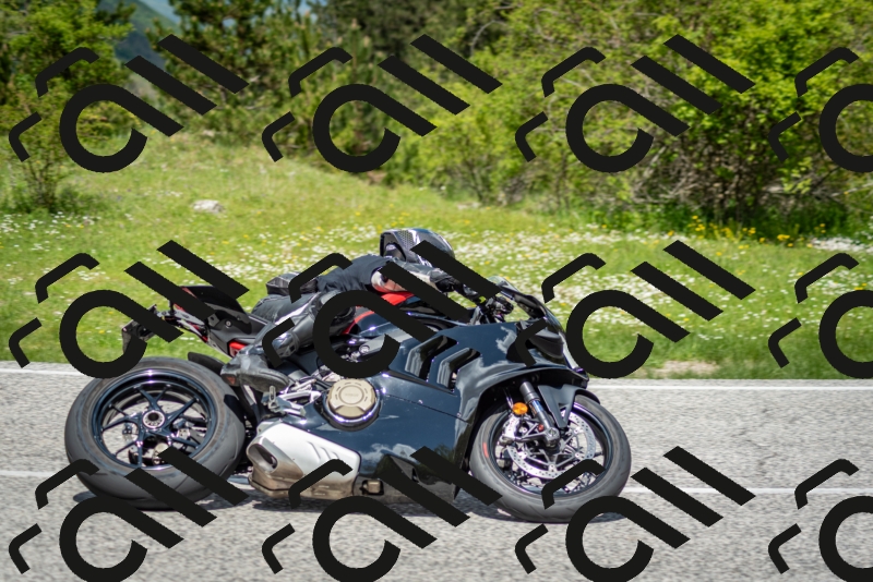 202505181223-DSC_9819_c2