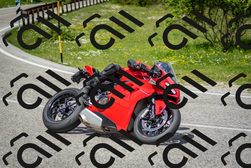 202505181223-DSC_9820_c2