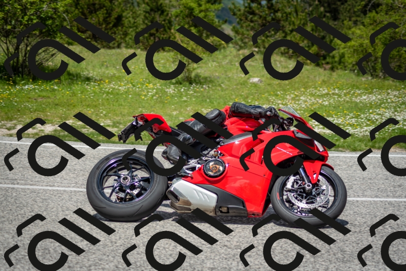 202505181223-DSC_9821_c2