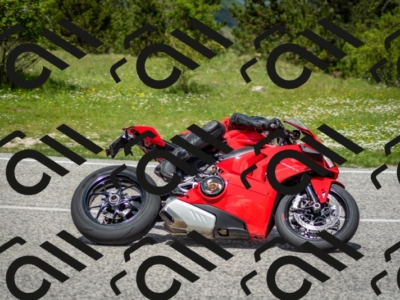 202505181223-DSC_9821_c2