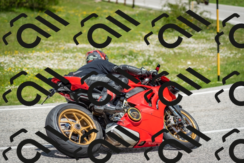 202505181223-DSC_9824_c2