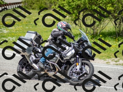 202505181223-DSC_9825_c2