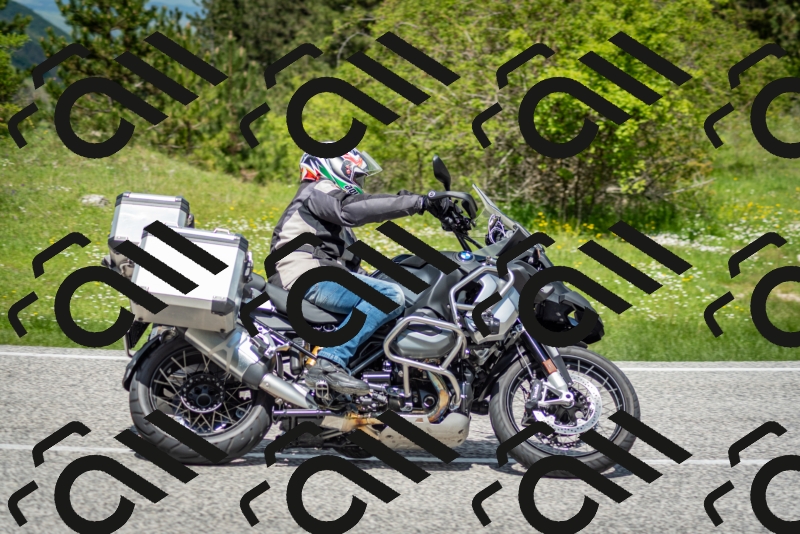 202505181223-DSC_9826_c2