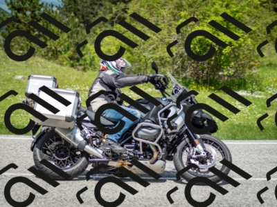 202505181223-DSC_9826_c2