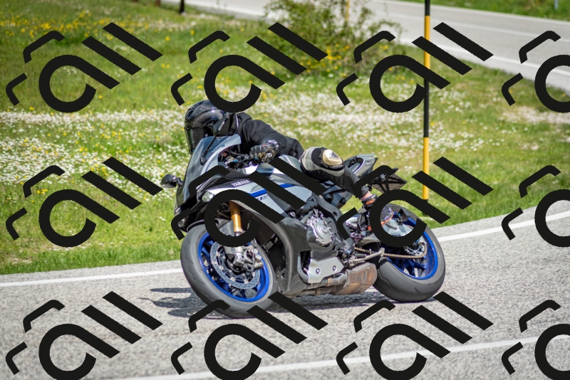 202505181223-DSC_9832_c2